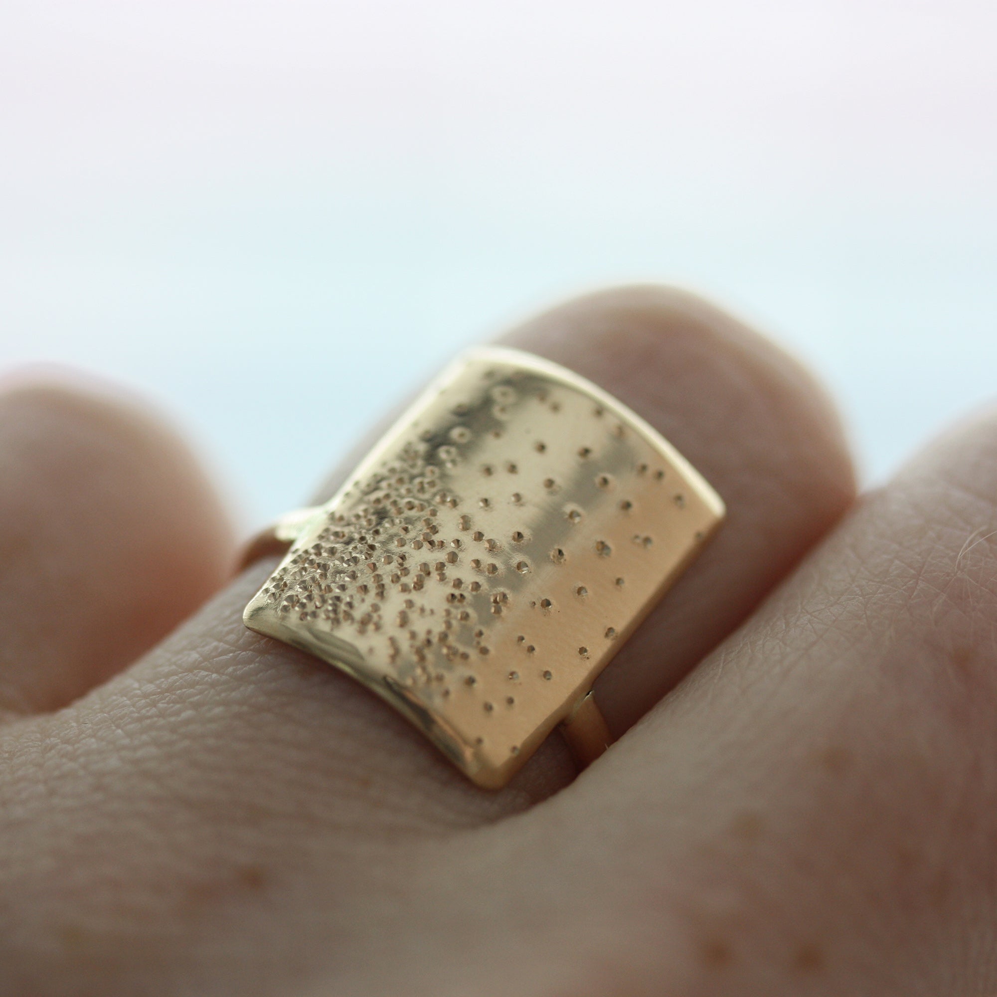 DIAMOND DUSTED EVERLONG RING