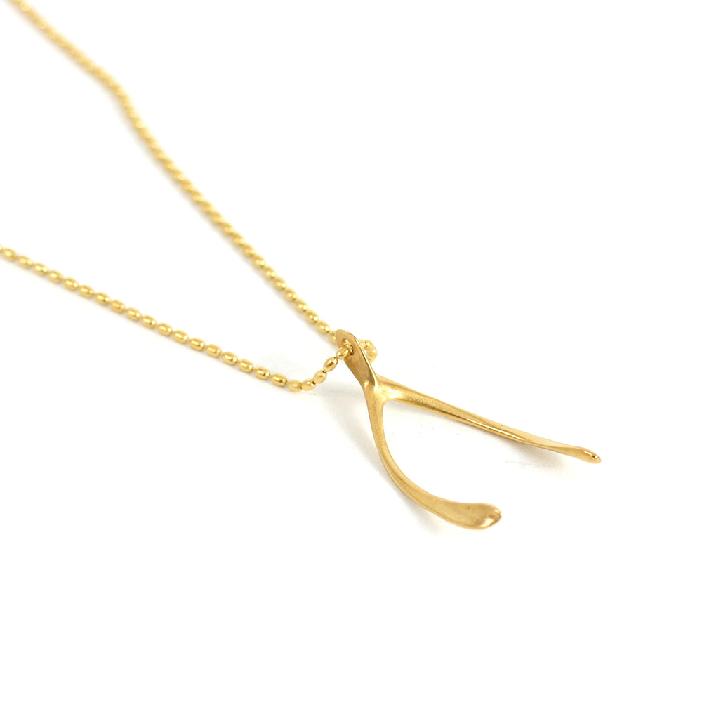 Amazon.com: Good Luck Charms 14k Gold Polished Wishbone Pendant Necklace,  16